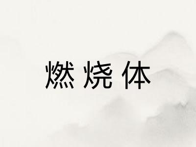 燃烧体