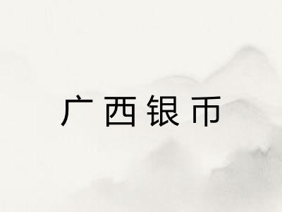 广西银币