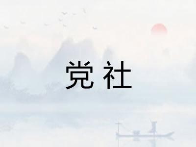党社