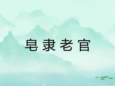 皂隶老官