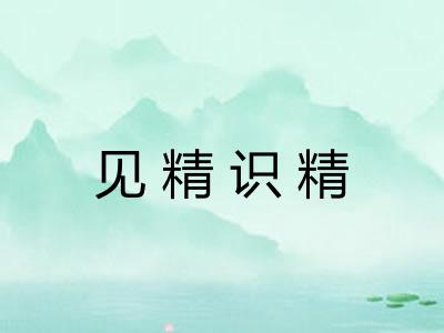 见精识精