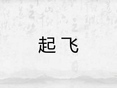起飞