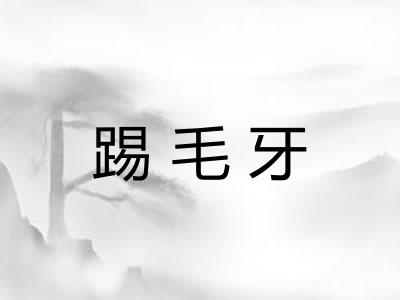 踢毛牙