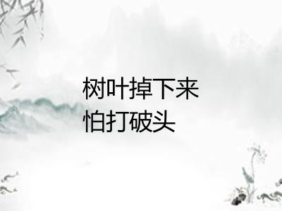 树叶掉下来怕打破头