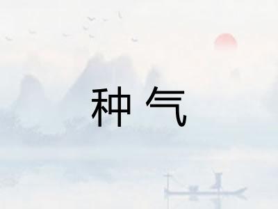 种气