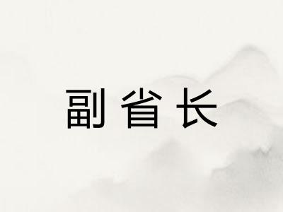 副省长