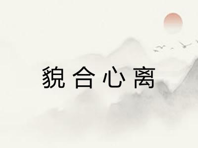貌合心离