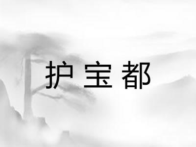 护宝都