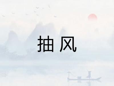 抽风