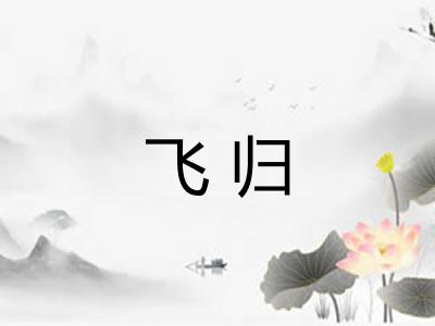 飞归