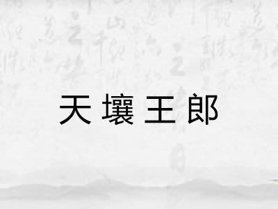 天壤王郎