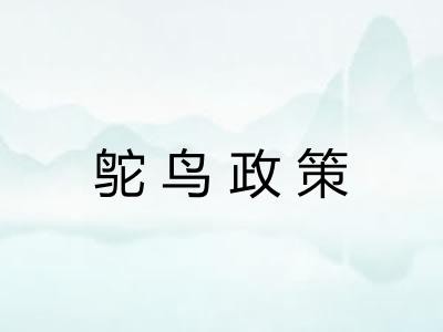 鸵鸟政策