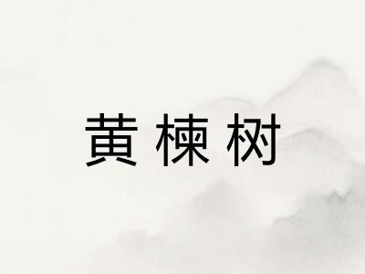 黄楝树