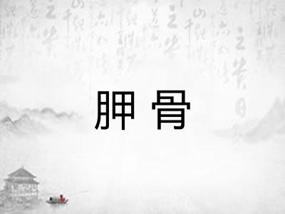 胛骨