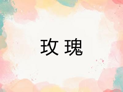 玫瑰