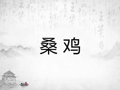 桑鸡