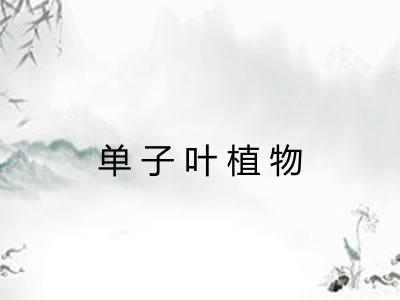 单子叶植物