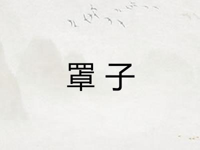 罩子