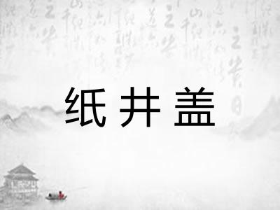 纸井盖