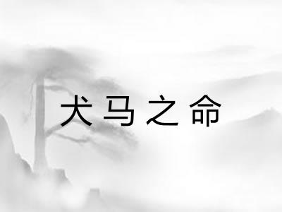 犬马之命
