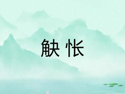 觖怅