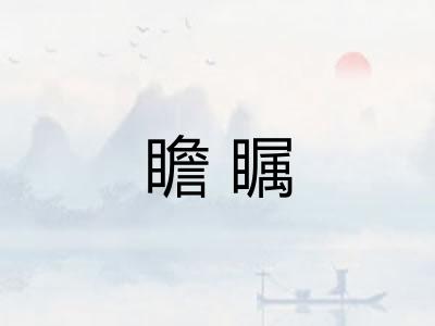 瞻瞩