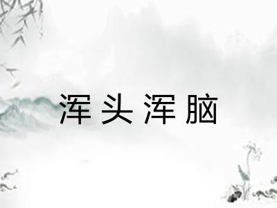 浑头浑脑