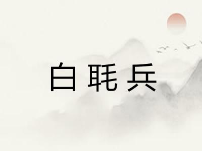 白毦兵