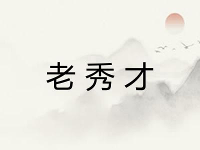 老秀才