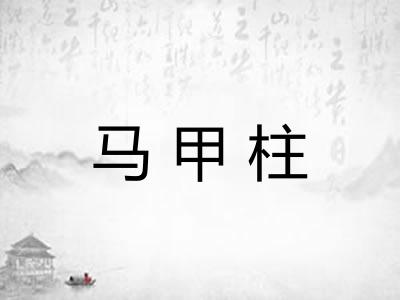 马甲柱
