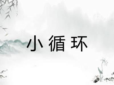 小循环