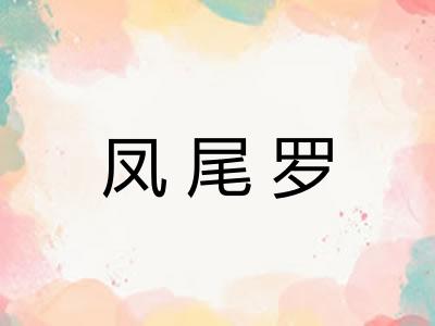 凤尾罗