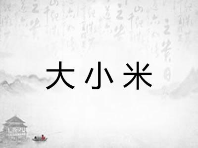 大小米