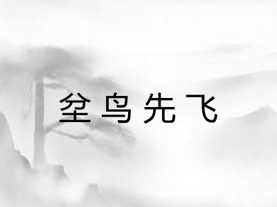 坌鸟先飞