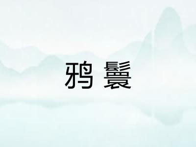 鸦鬟