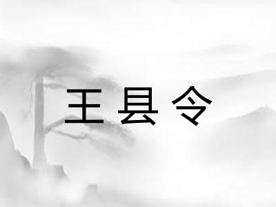 王县令