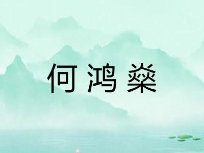 何鸿燊