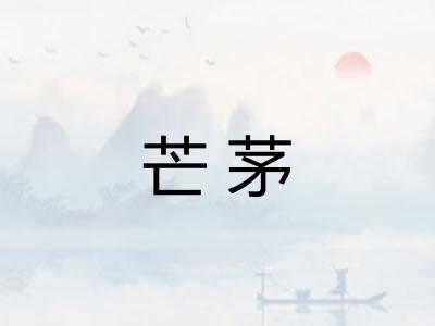 芒茅
