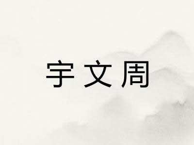 宇文周