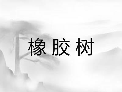 橡胶树
