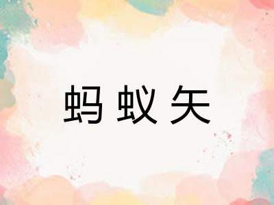 蚂蚁矢