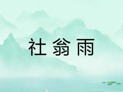 社翁雨