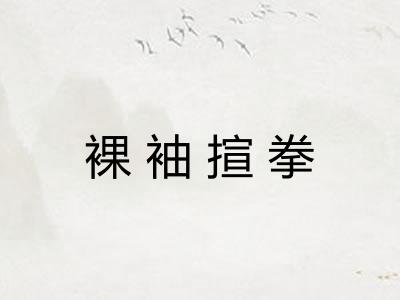 裸袖揎拳