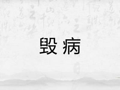 毁病