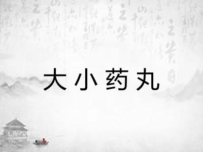 大小药丸