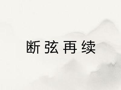 断弦再续