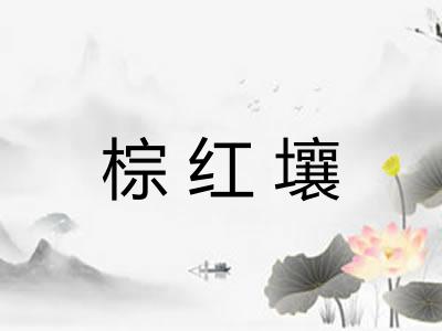 棕红壤