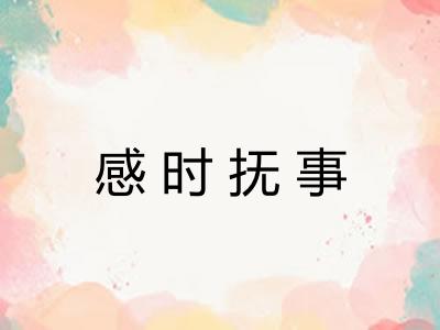 感时抚事