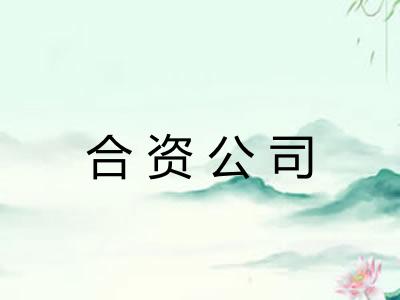 合资公司