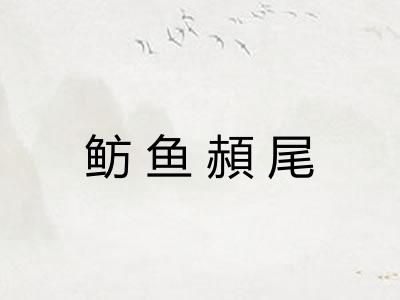 鲂鱼頳尾
